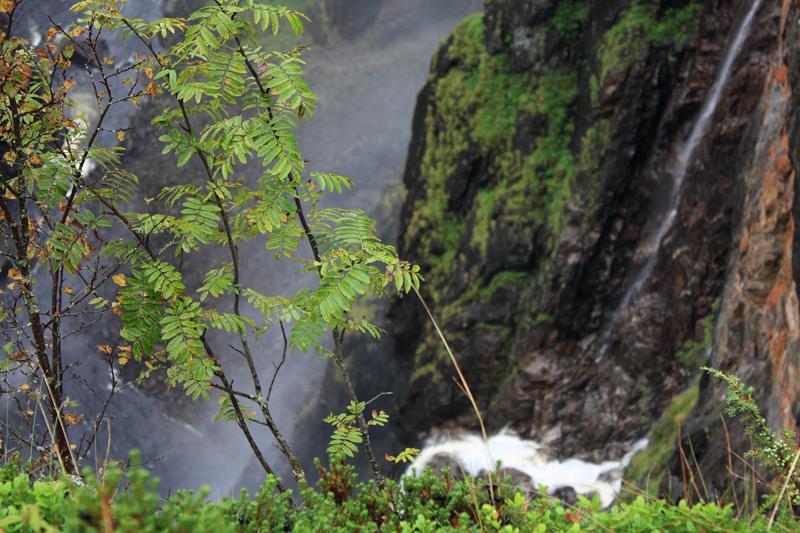 383-Voeringsfoss,25 agosto 2011.JPG